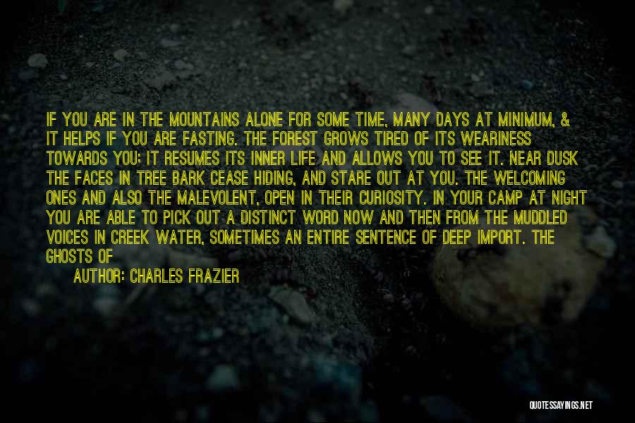 Beautiful Forest Quotes By Charles Frazier