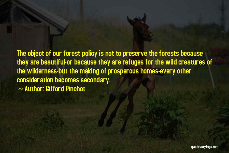 Beautiful Forest Quotes By Gifford Pinchot