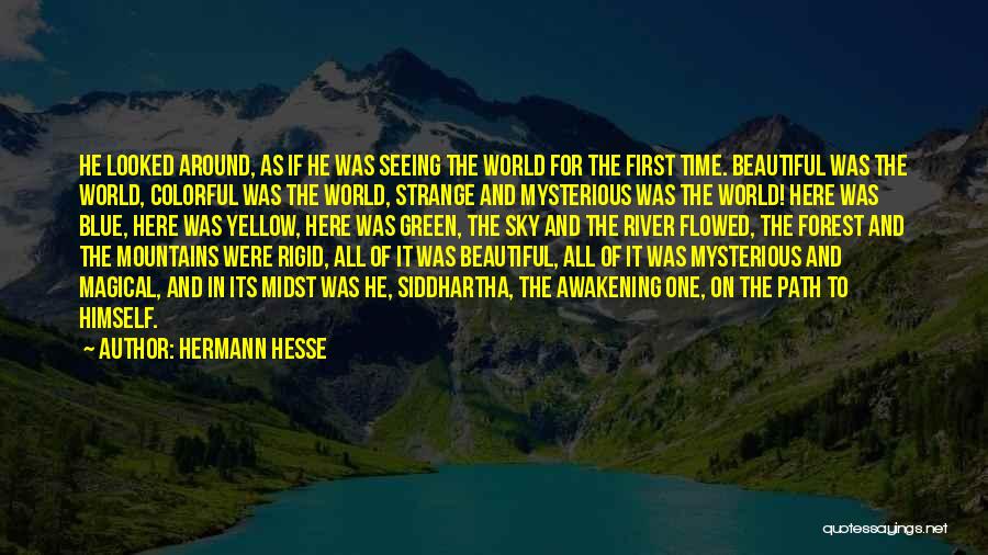 Beautiful Forest Quotes By Hermann Hesse