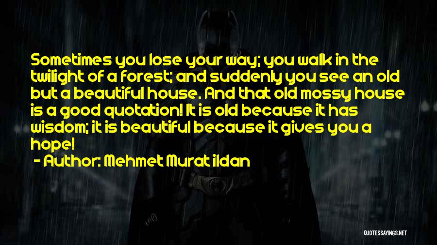 Beautiful Forest Quotes By Mehmet Murat Ildan