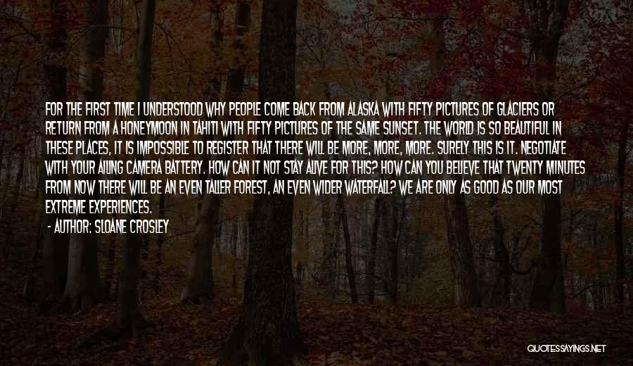 Beautiful Forest Quotes By Sloane Crosley