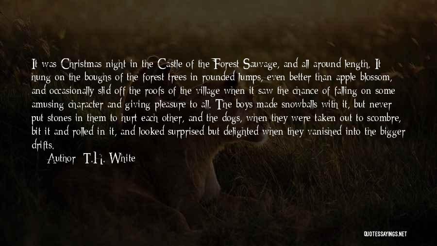 Beautiful Forest Quotes By T.H. White