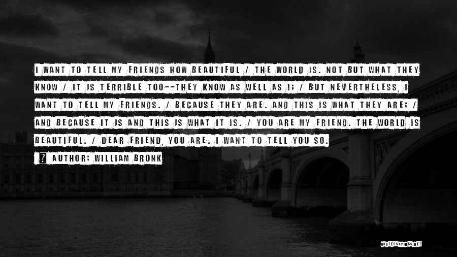 Beautiful Friends Quotes By William Bronk