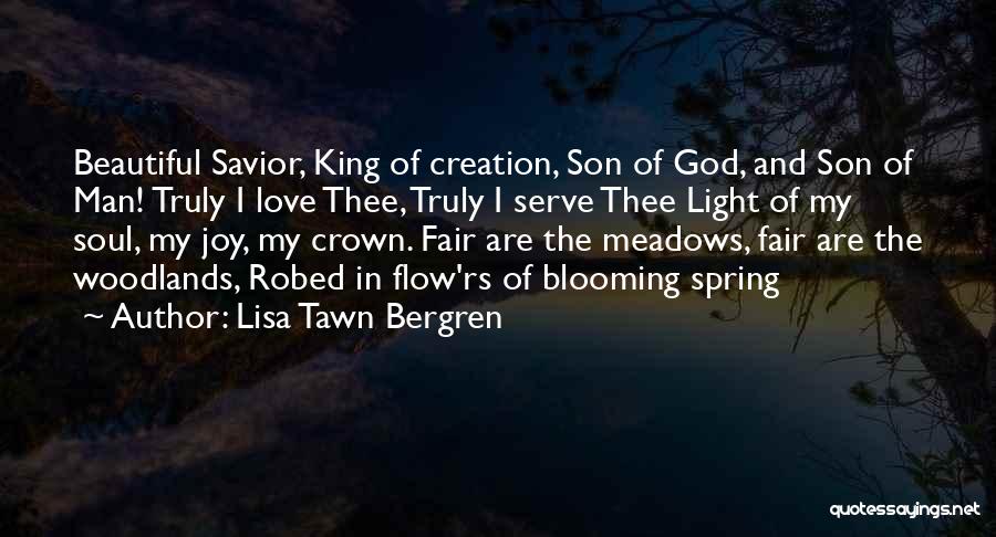 Beautiful God Creation Quotes By Lisa Tawn Bergren
