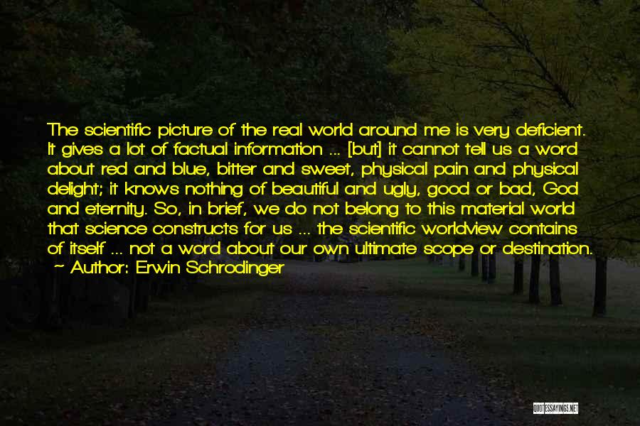 Beautiful God Picture Quotes By Erwin Schrodinger