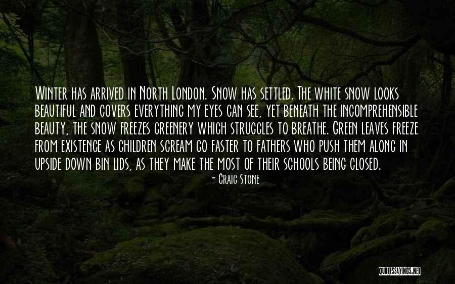 Beautiful Green Eyes Quotes By Craig Stone Beautiful Green Eyes Quotes By Craig Stone