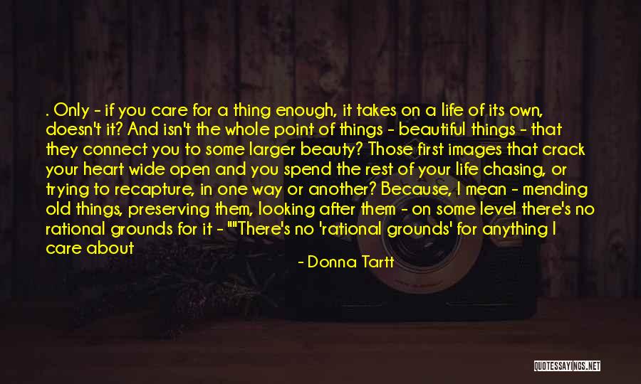 Beautiful Heart Images And Quotes By Donna Tartt Beautiful Heart Images And Quotes By Donna Tartt