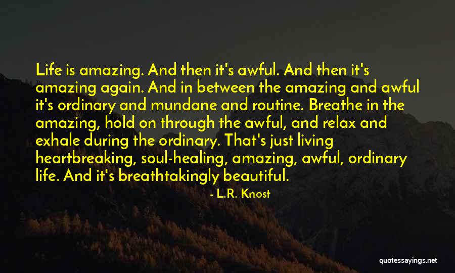 Beautiful Heartbreaking Quotes By L.R. Knost