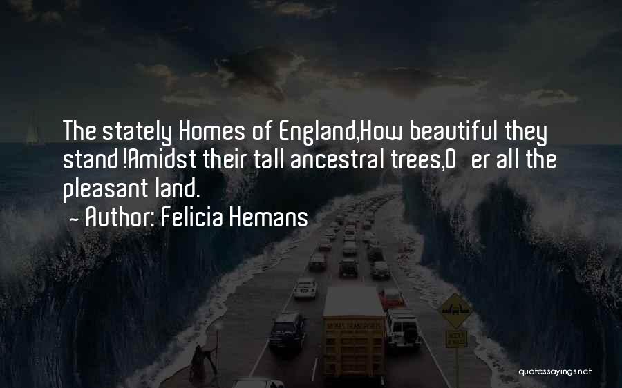 Beautiful Homes Quotes By Felicia Hemans