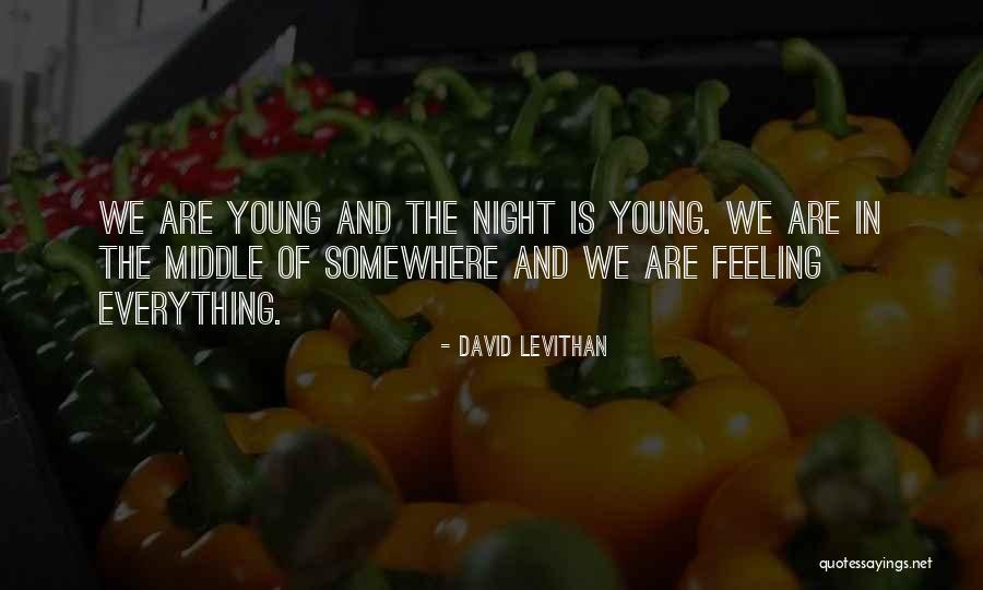 Beautiful Horse And Rider Quotes By David Levithan Beautiful Horse And Rider Quotes By David Levithan