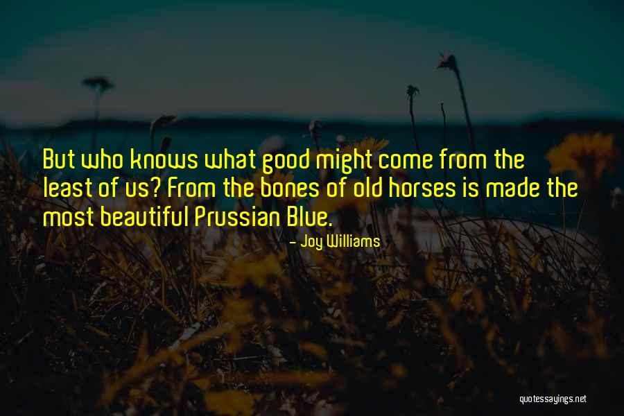 Beautiful Horses Quotes By Joy Williams Beautiful Horses Quotes By Joy Williams