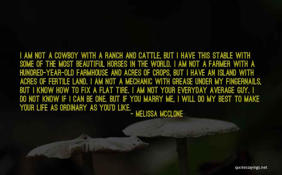 Beautiful Horses Quotes By Melissa McClone Beautiful Horses Quotes By Melissa McClone