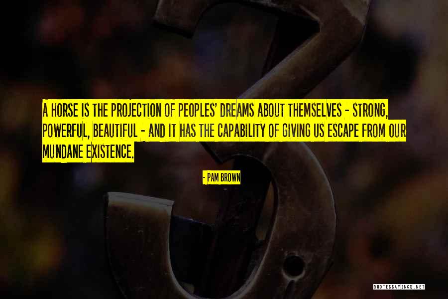 Beautiful Horses Quotes By Pam Brown Beautiful Horses Quotes By Pam Brown