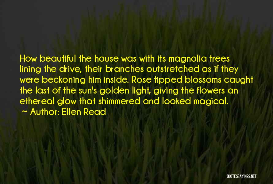 Beautiful Houses Quotes By Ellen Read