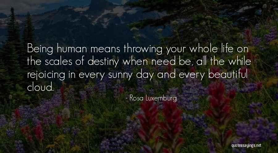 Beautiful Human Being Quotes By Rosa Luxemburg Beautiful Human Being Quotes By Rosa Luxemburg