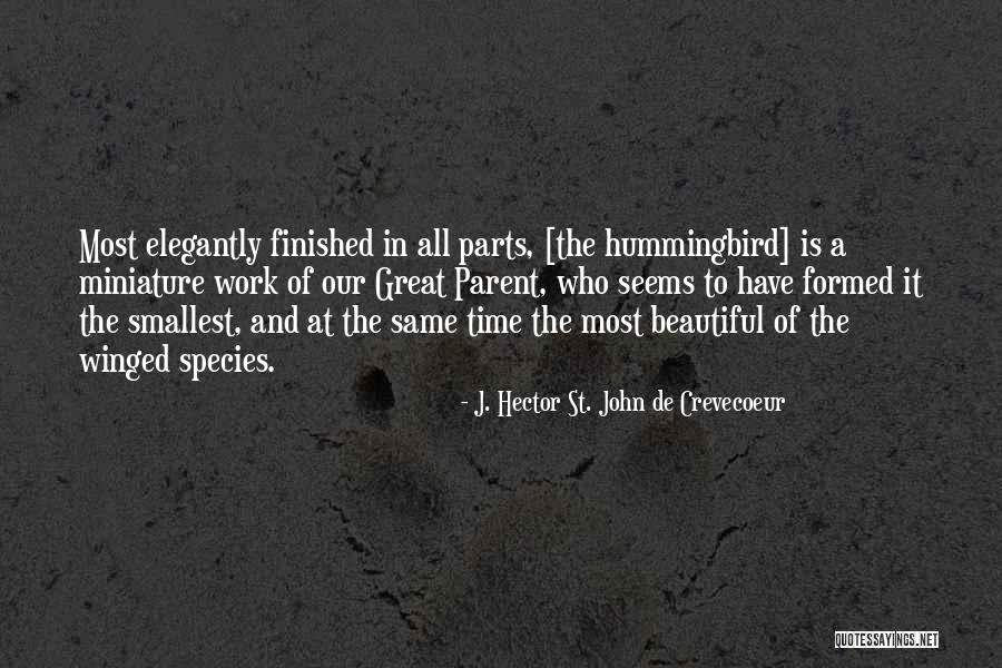 Beautiful Hummingbird Quotes By J. Hector St. John De Crevecoeur