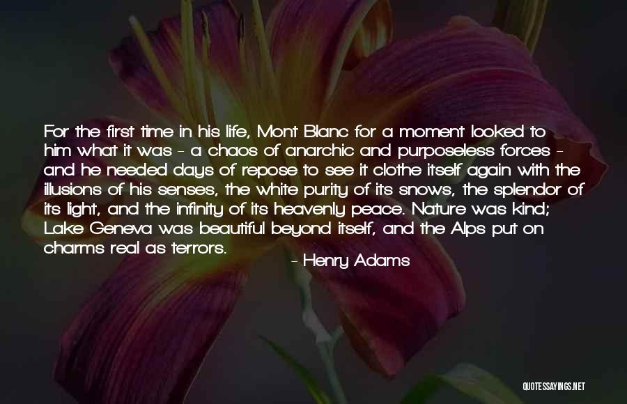 Beautiful Illusions Quotes By Henry Adams