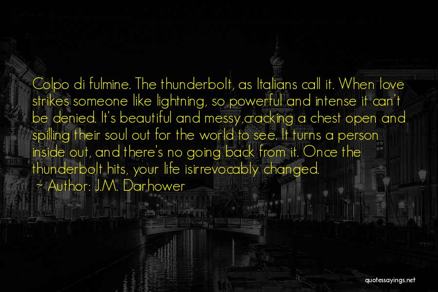 Beautiful Inside And Out Quotes By J.M. Darhower