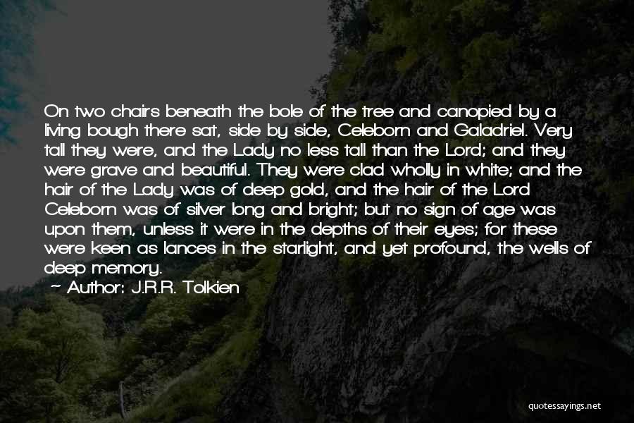 Beautiful Lady Quotes By J.R.R. Tolkien