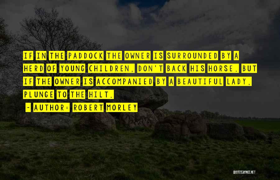 Beautiful Lady Quotes By Robert Morley