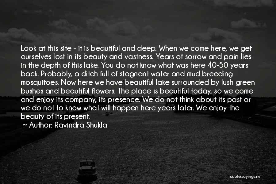 Beautiful Lake Quotes By Ravindra Shukla