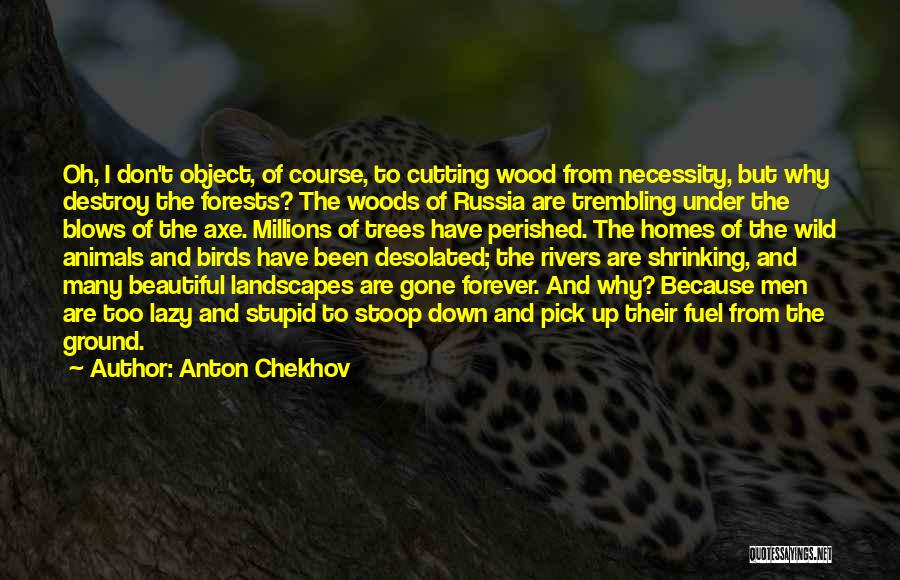 Beautiful Landscapes Quotes By Anton Chekhov