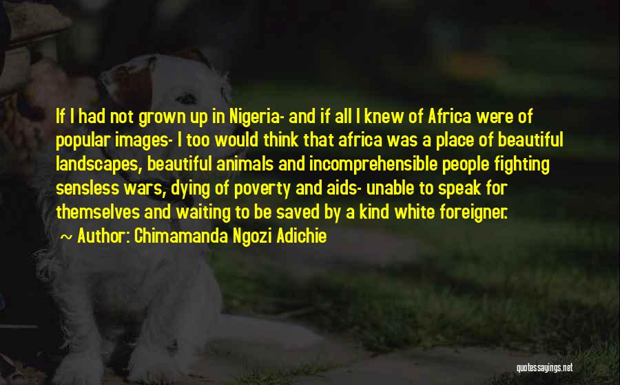 Beautiful Landscapes Quotes By Chimamanda Ngozi Adichie