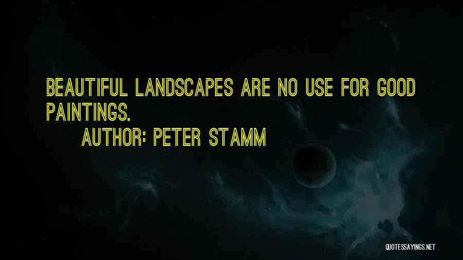 Beautiful Landscapes Quotes By Peter Stamm