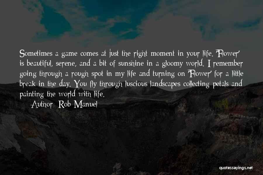 Beautiful Landscapes Quotes By Rob Manuel