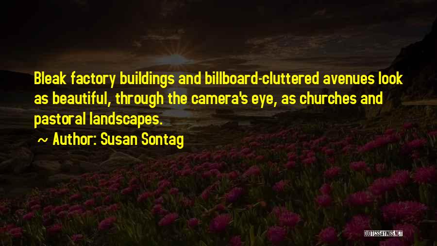 Beautiful Landscapes Quotes By Susan Sontag