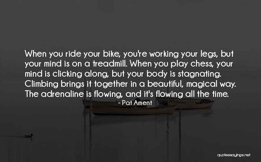 Beautiful Legs Quotes By Pat Ament