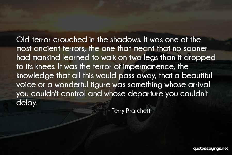 Beautiful Legs Quotes By Terry Pratchett