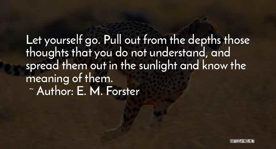 Beautiful Life Thoughts Quotes By E. M. Forster