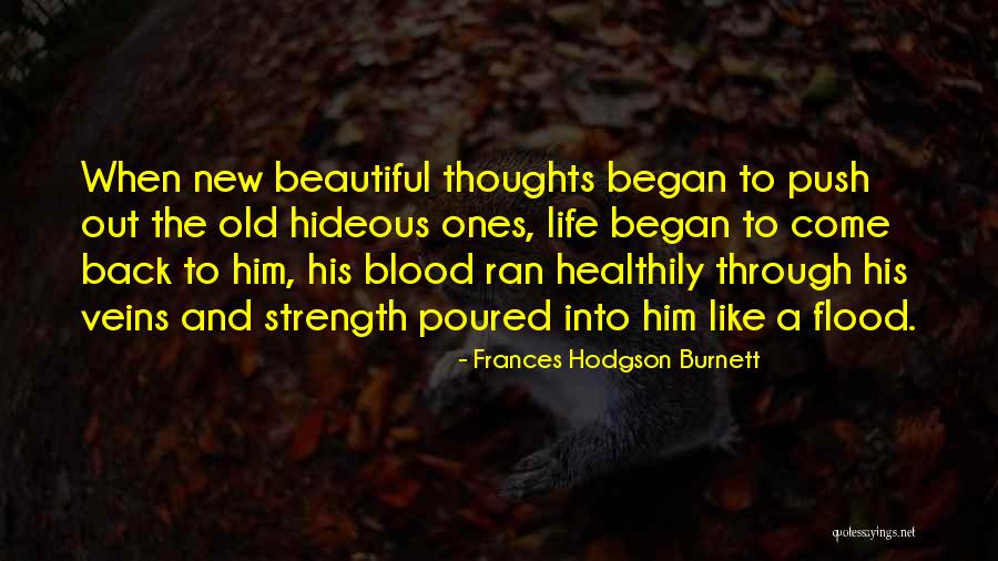 Beautiful Life Thoughts Quotes By Frances Hodgson Burnett