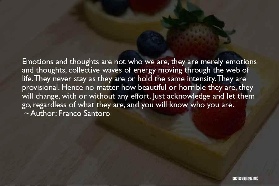 Beautiful Life Thoughts Quotes By Franco Santoro