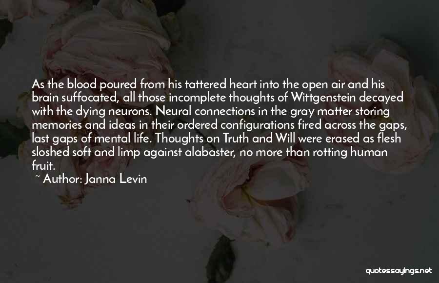 Beautiful Life Thoughts Quotes By Janna Levin