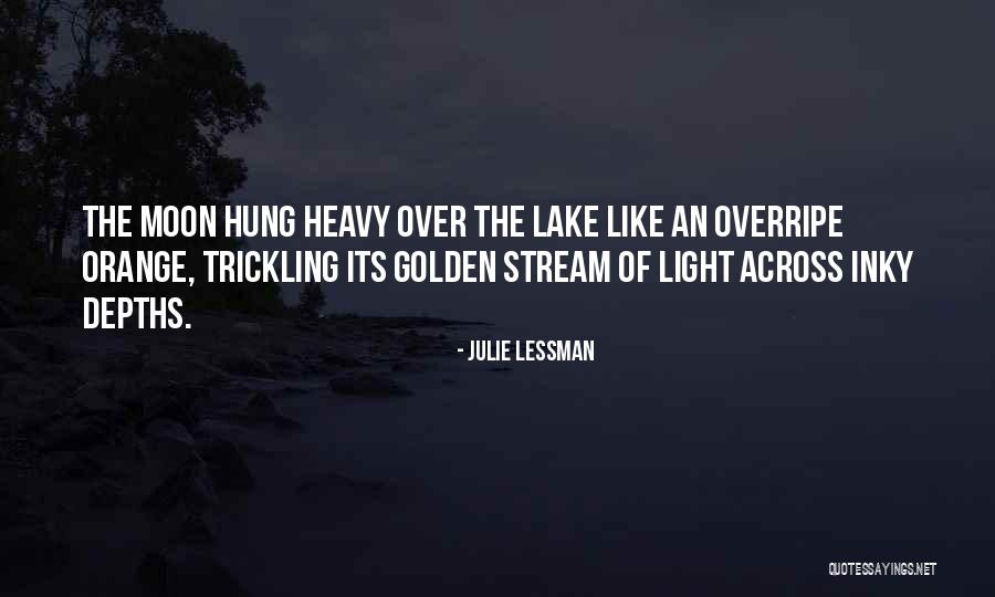 Beautiful Light Quotes By Julie Lessman