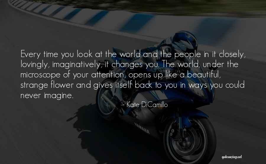 Beautiful Like You Quotes By Kate DiCamillo Beautiful Like You Quotes By Kate DiCamillo