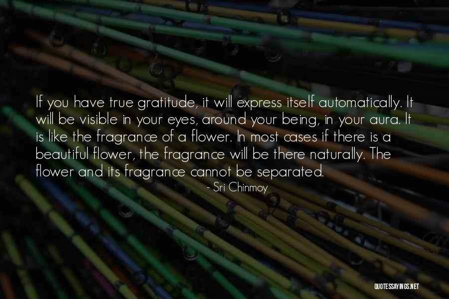 Beautiful Like You Quotes By Sri Chinmoy Beautiful Like You Quotes By Sri Chinmoy