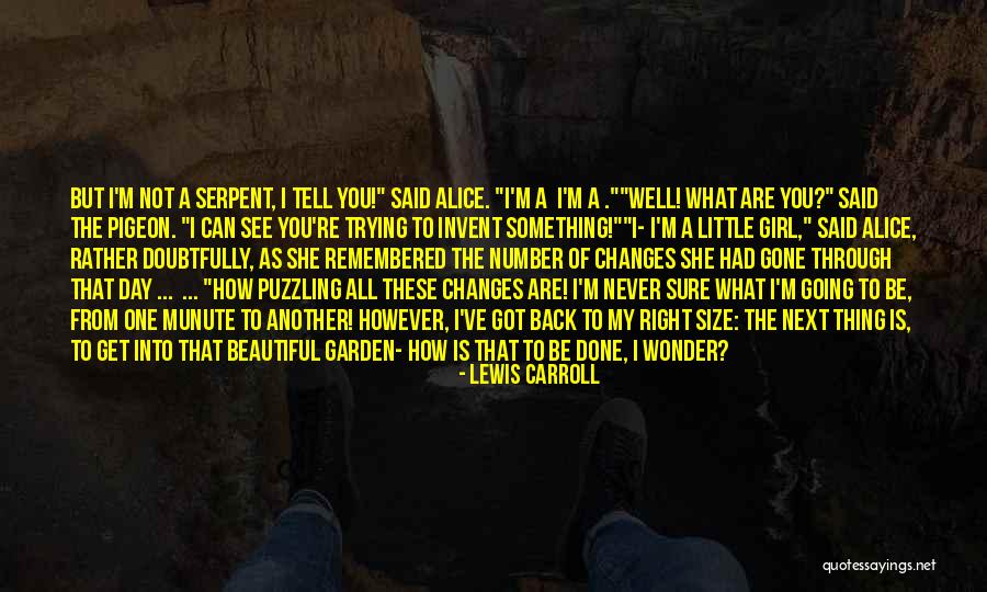 Beautiful Little Girl Quotes By Lewis Carroll