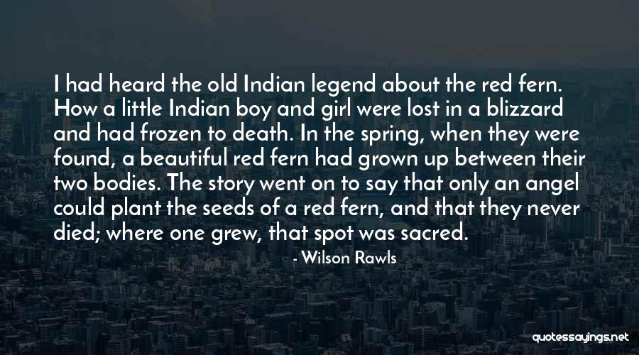 Beautiful Little Girl Quotes By Wilson Rawls