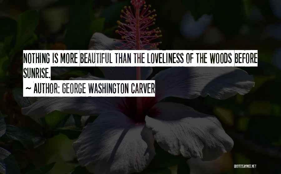 Beautiful Loveliness Quotes By George Washington Carver