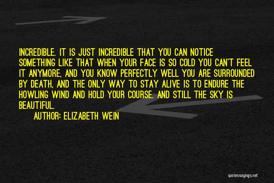 Beautiful Lyrical Quotes By Elizabeth Wein