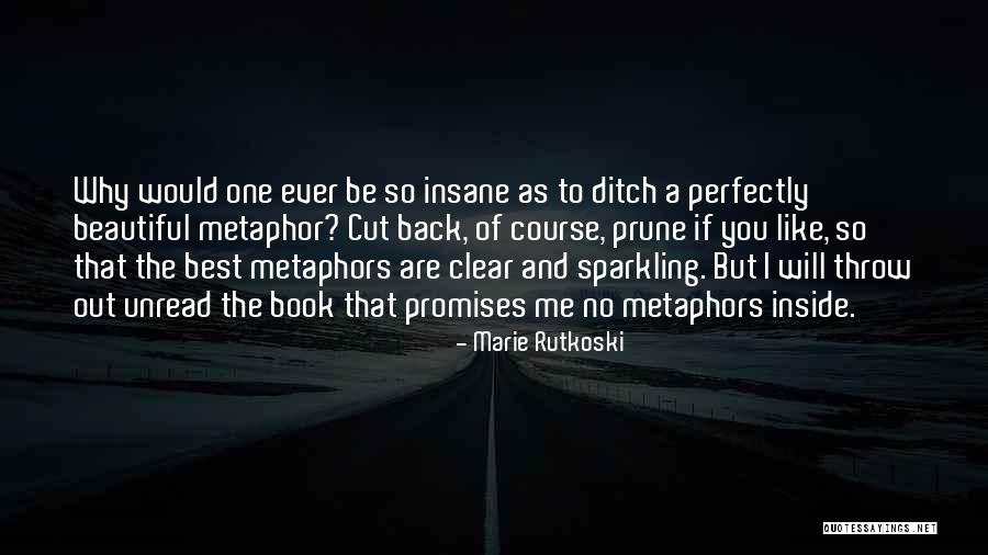 Beautiful Metaphors Quotes By Marie Rutkoski Beautiful Metaphors Quotes By Marie Rutkoski
