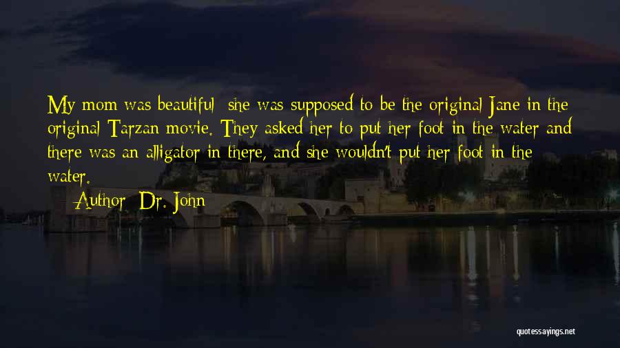 Beautiful Mom To Be Quotes By Dr. John