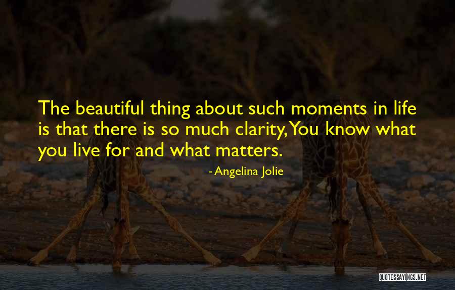 Beautiful Moments In Life Quotes By Angelina Jolie