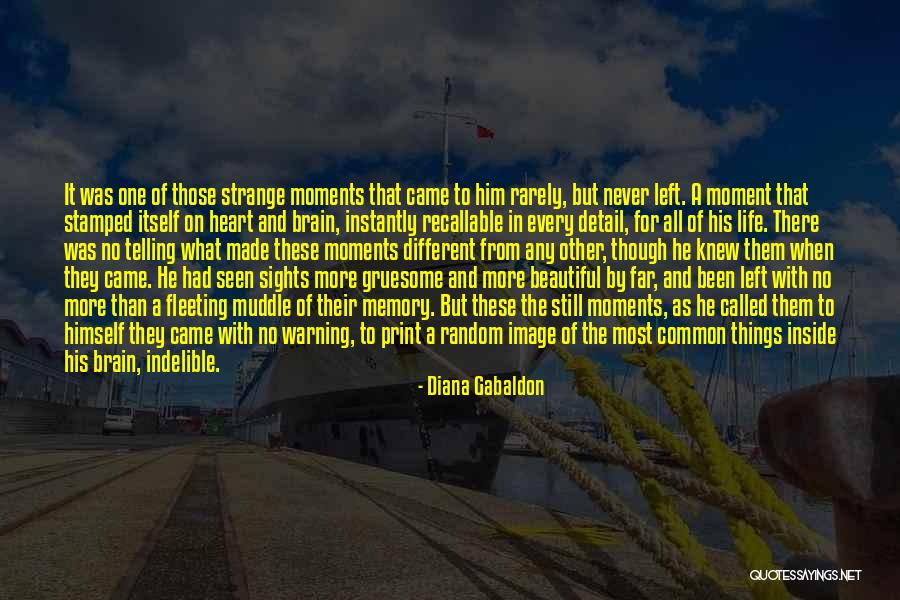 Beautiful Moments In Life Quotes By Diana Gabaldon