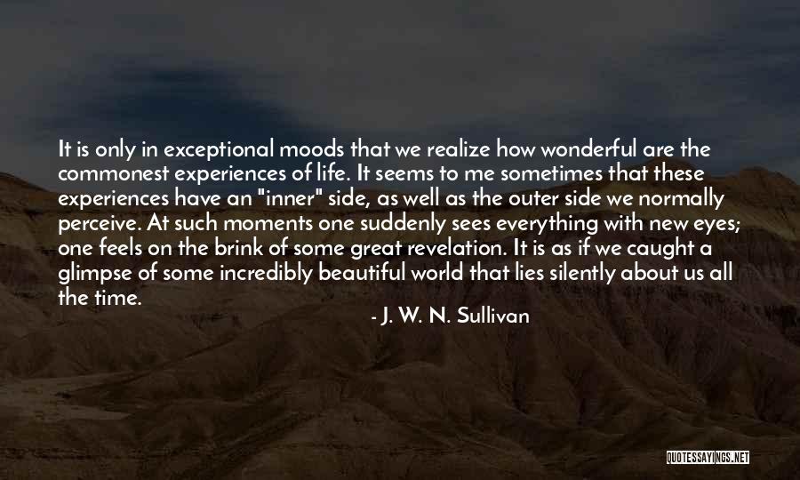 Beautiful Moments In Life Quotes By J. W. N. Sullivan