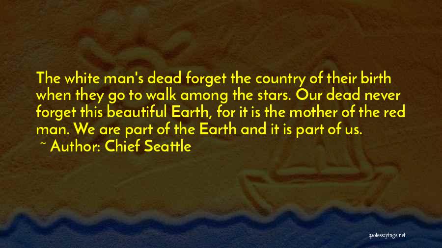 Beautiful Mother Earth Quotes By Chief Seattle