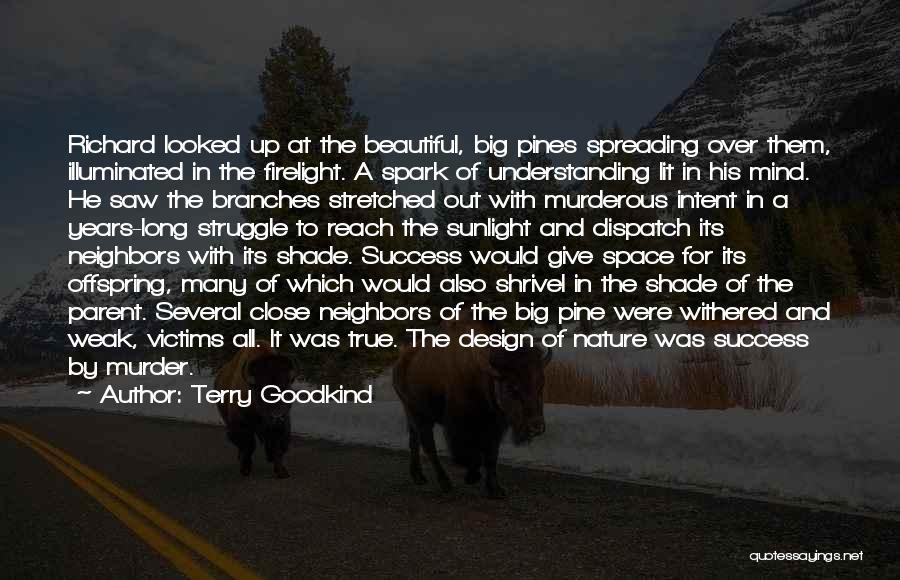 Beautiful Nature Quotes By Terry Goodkind